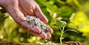 best 12-12-12 fertilizer reviews