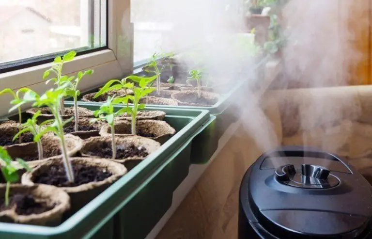 Best Dehumidifier For Grow Tent Reviews