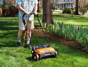 Best Electric Dethatcher Reviews