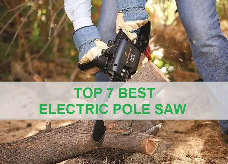 Best Electric Pole Saw Reviews