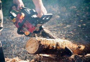 best farm chainsaw reviews