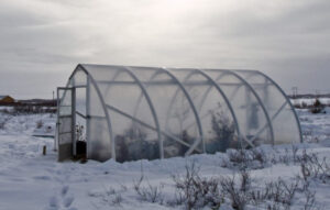 best greenhouse for winter reviews