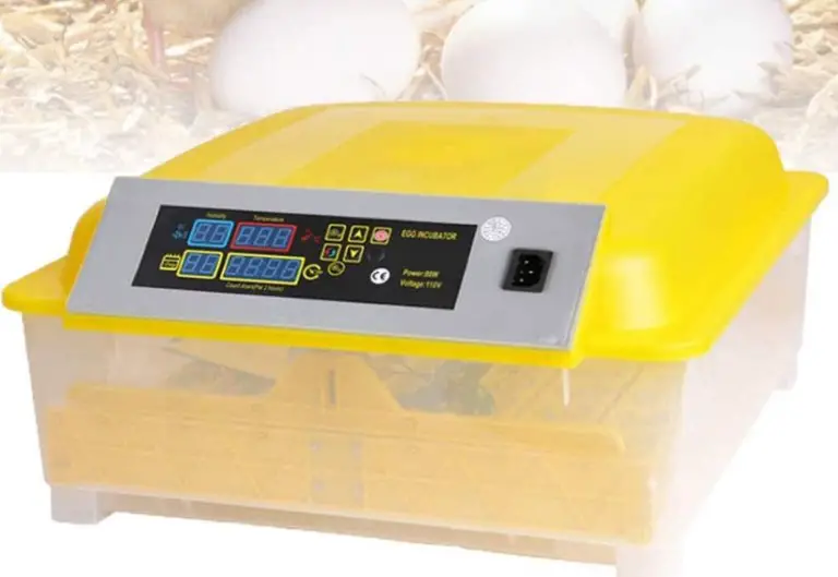 Best incubator for duck eggs reviews