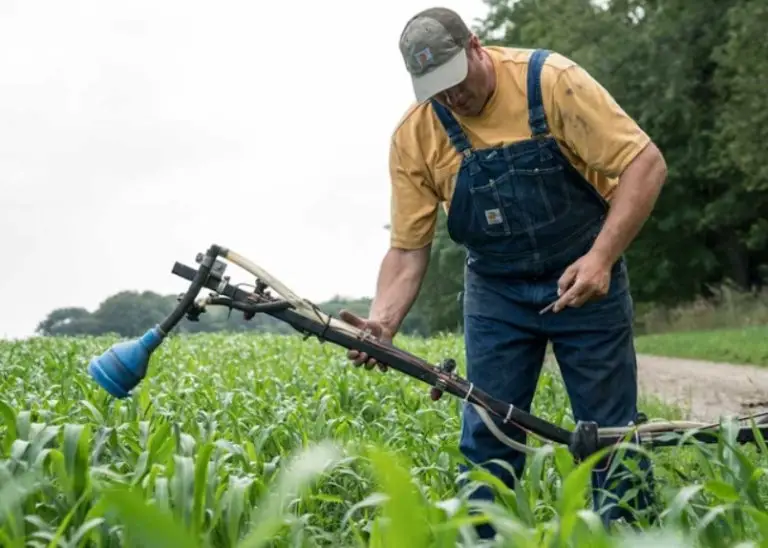 best Insulated Bib Overalls For Farmers reviews
