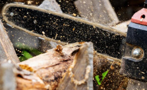 best small chainsaw reviews