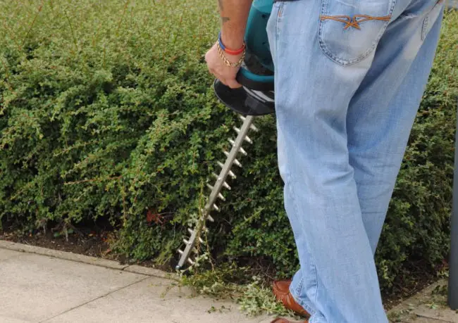 Cordless Hedge Trimmer