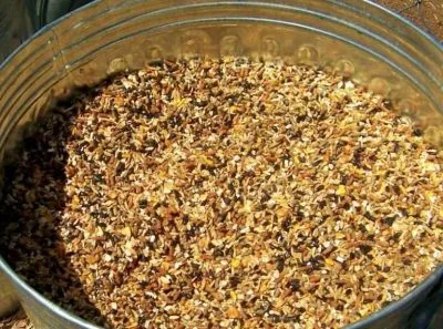 homemade goat feed recipe