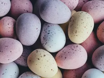 How-Do-I-Hatch-A-Duck-Egg