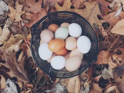 chicken eggs in a basket