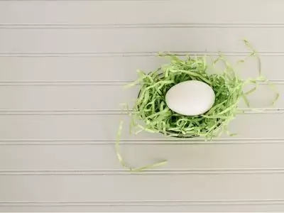 chicken eggs vs duck eggs